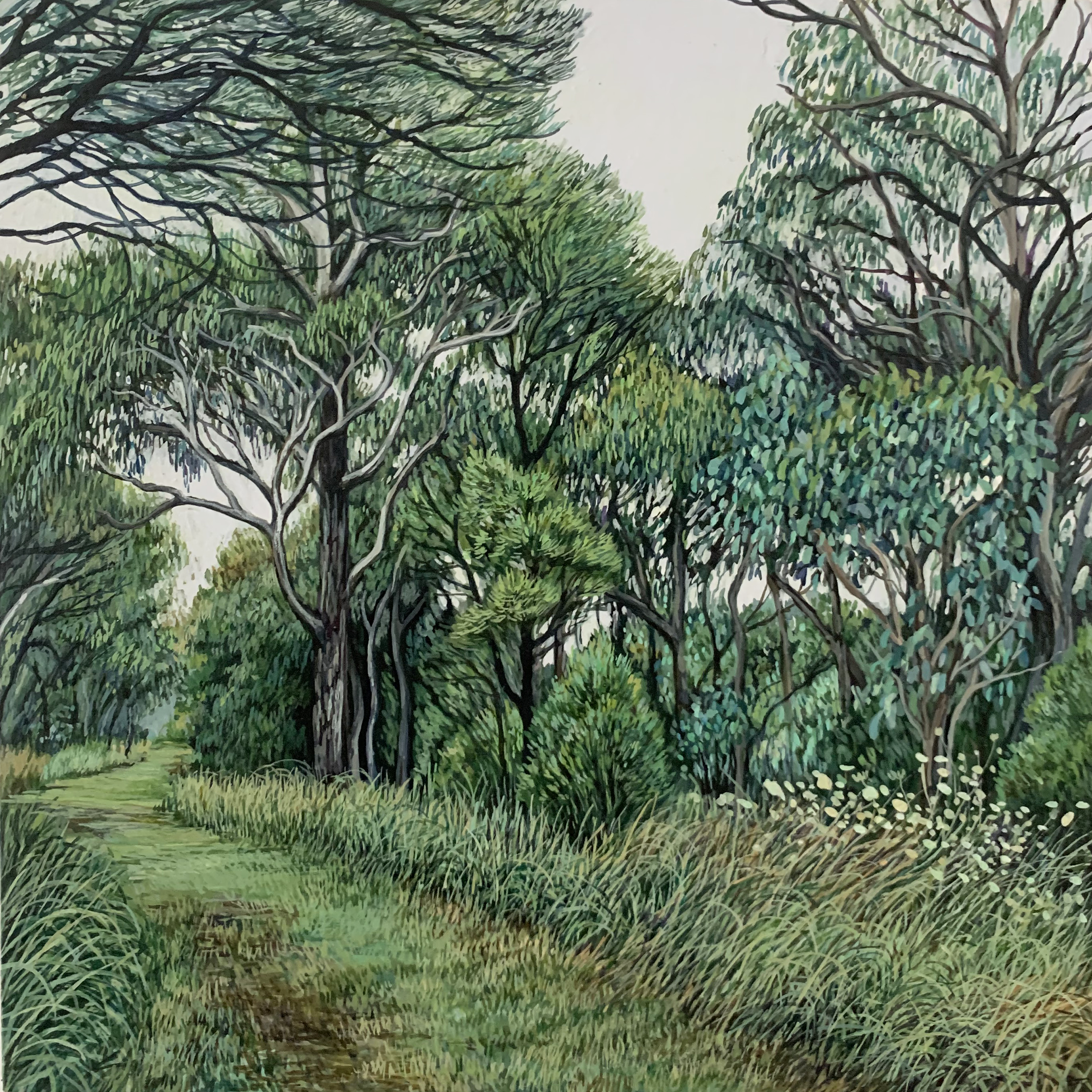 'Grassy Path' 