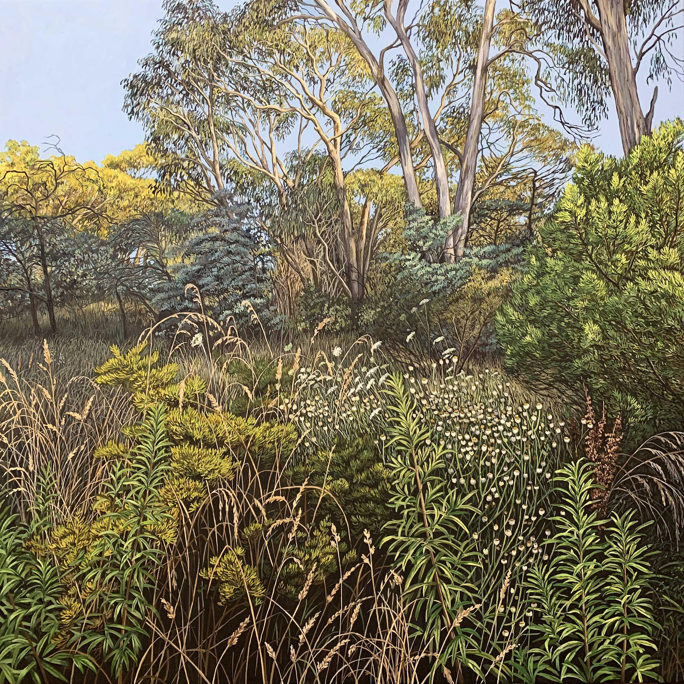 'Summer Morning' 