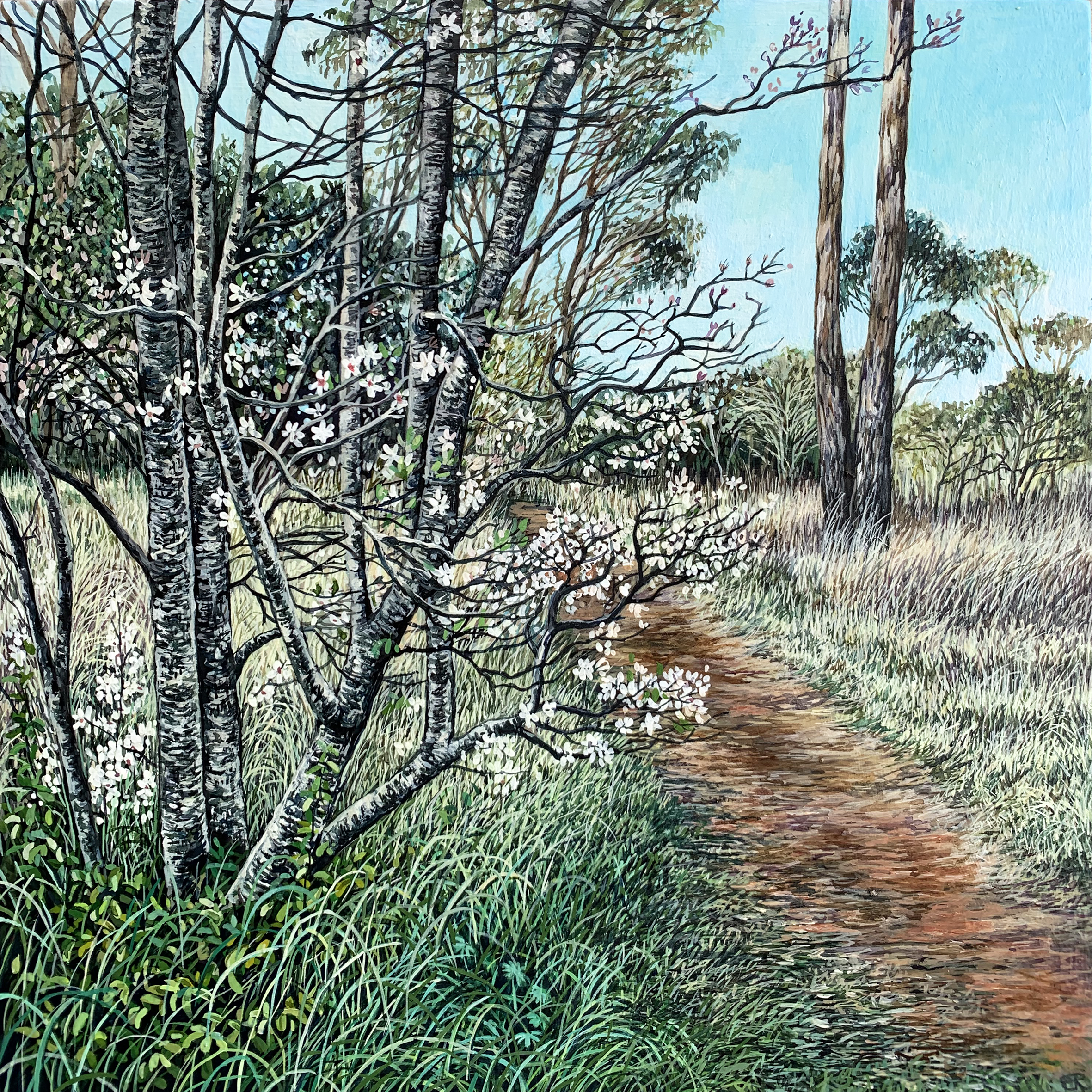 'Path to Gentles Road' 