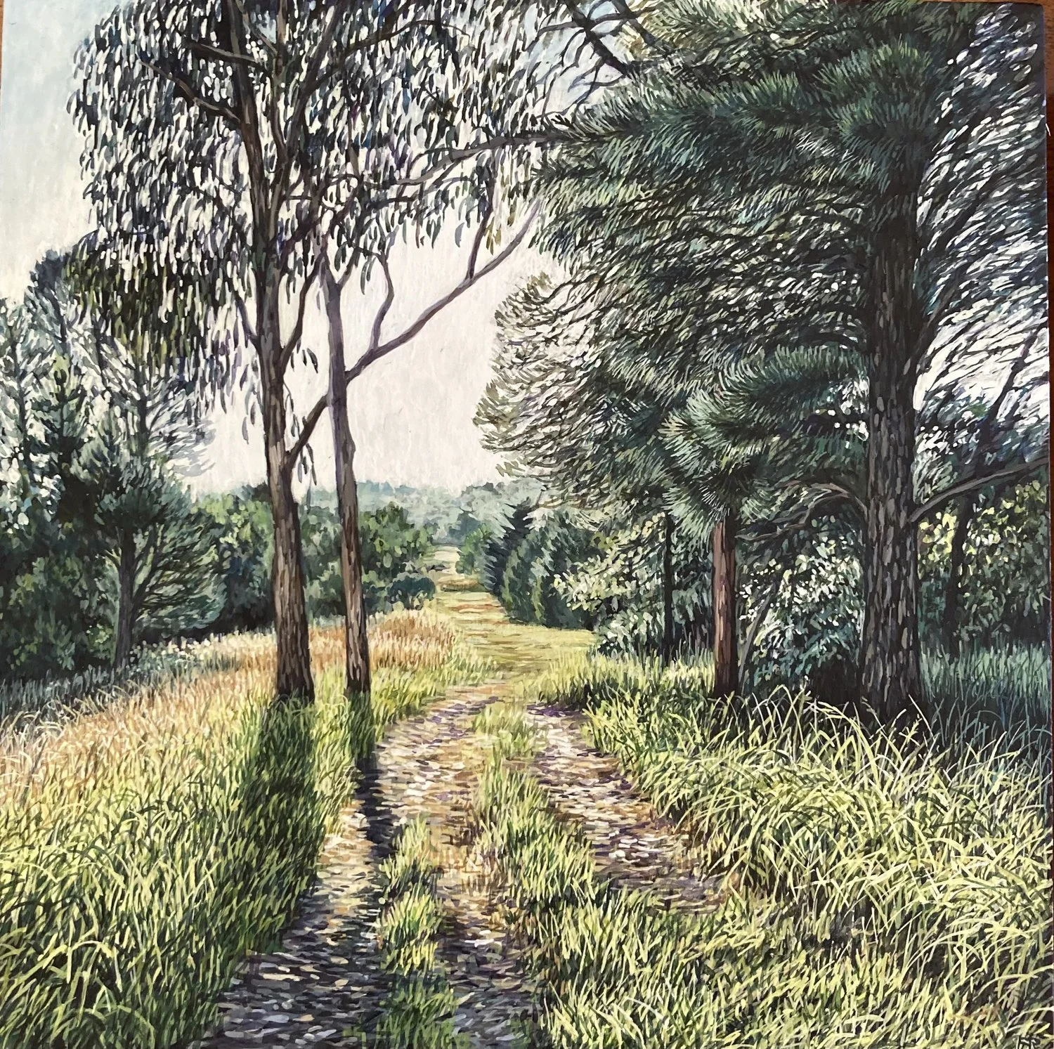 'Midsummer Morning' 