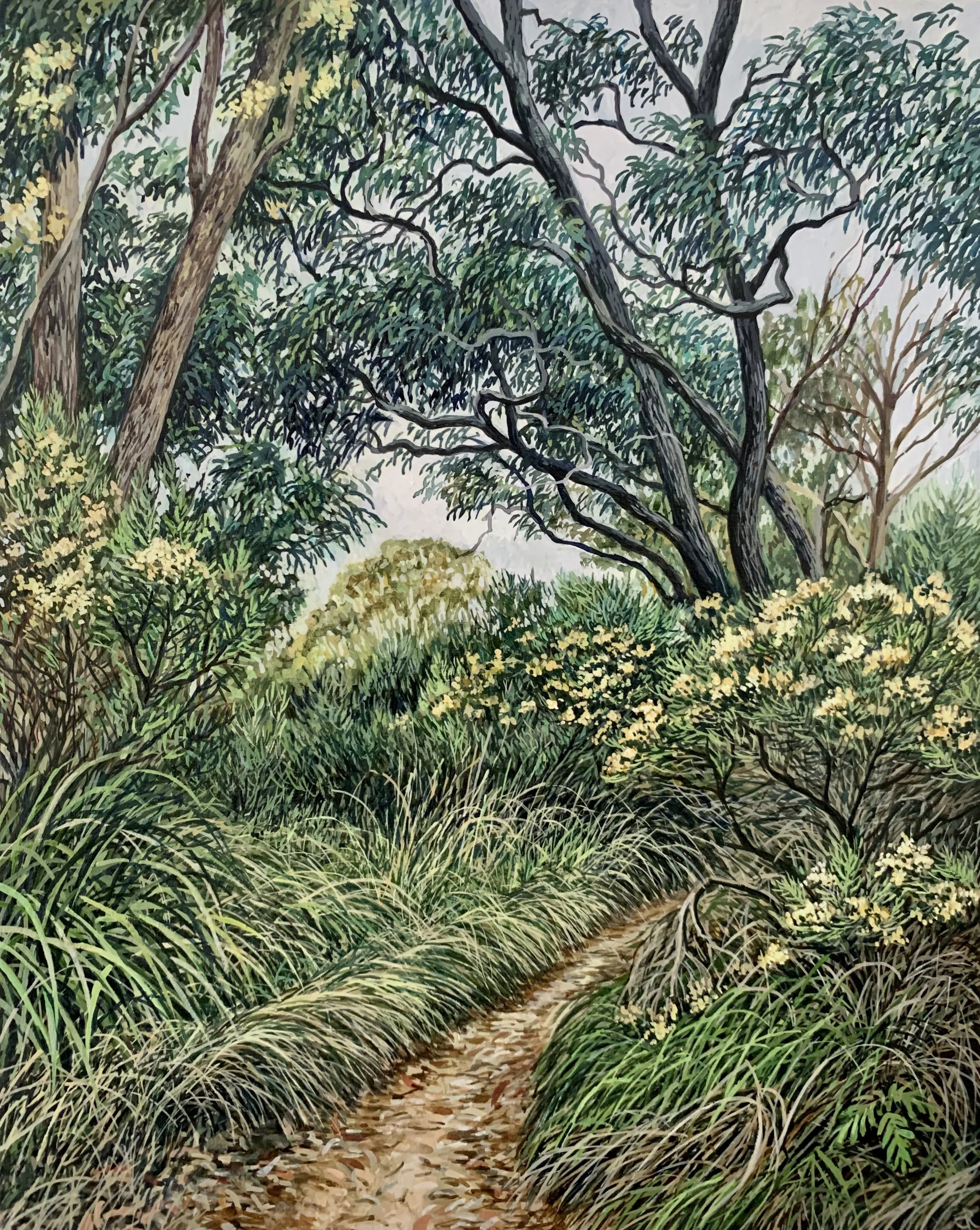 'Bakers Creek Path' 