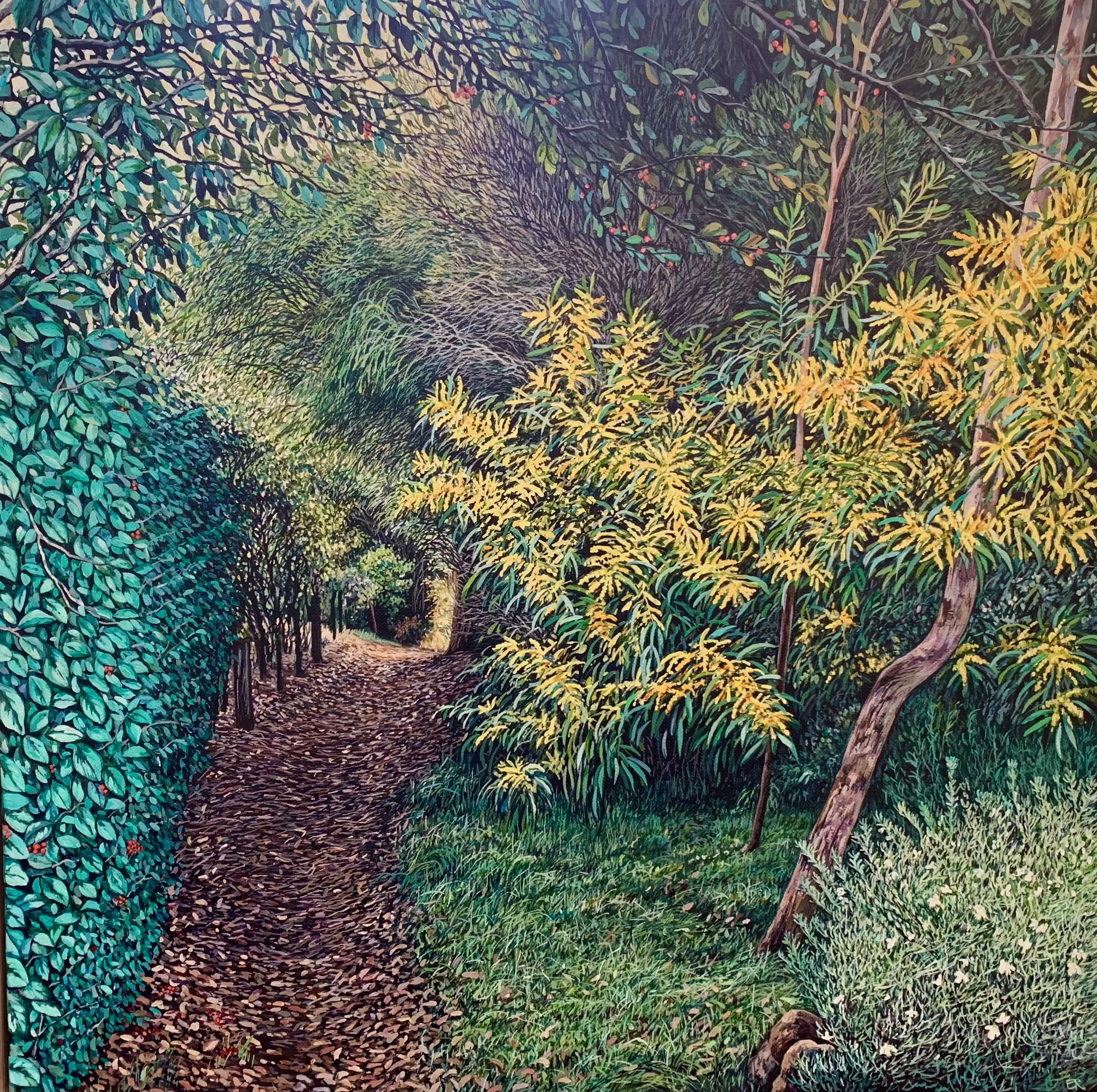 Path From Angophora Reserve