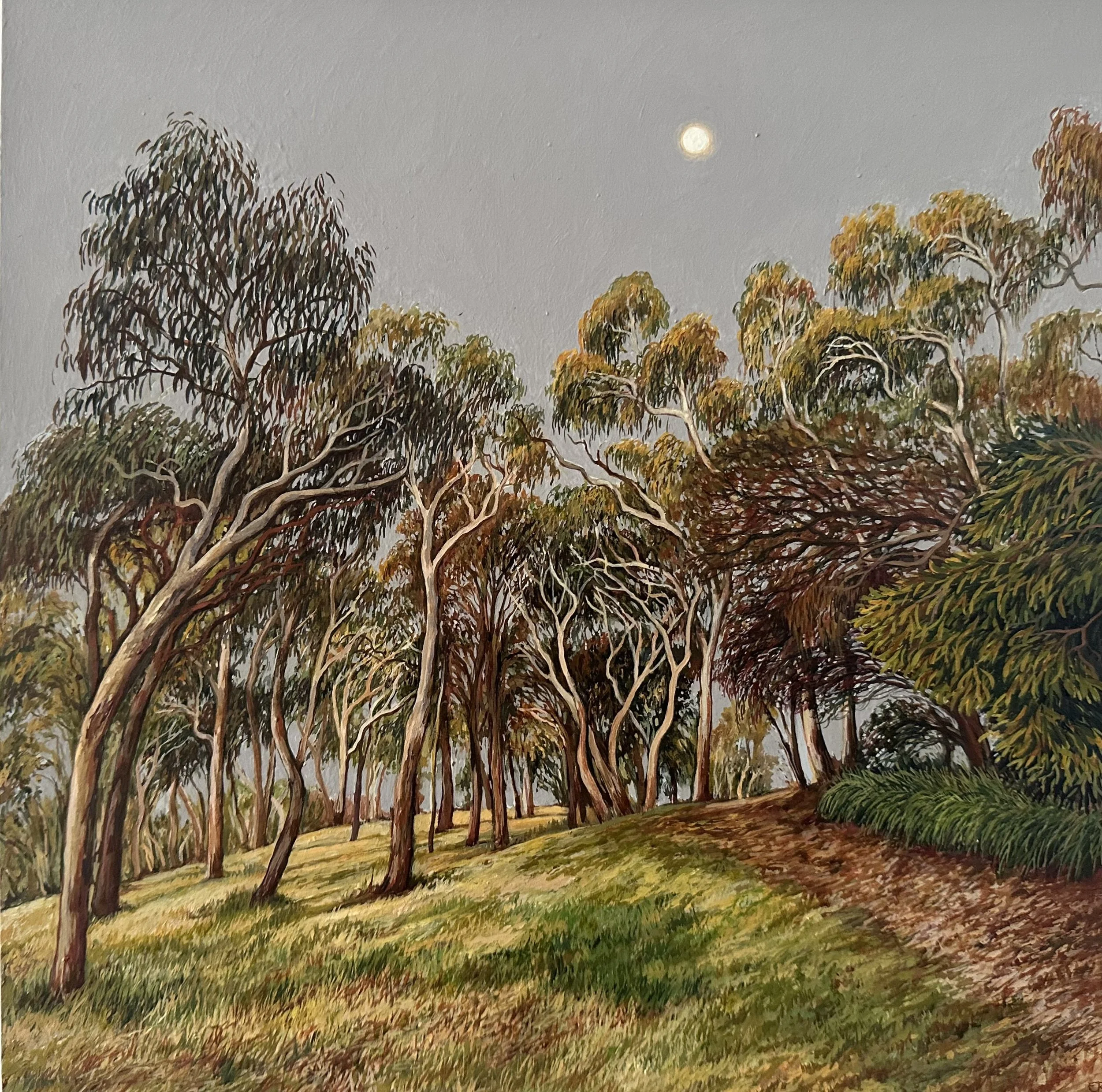 Arboretum in Twilight_30x30.jpeg