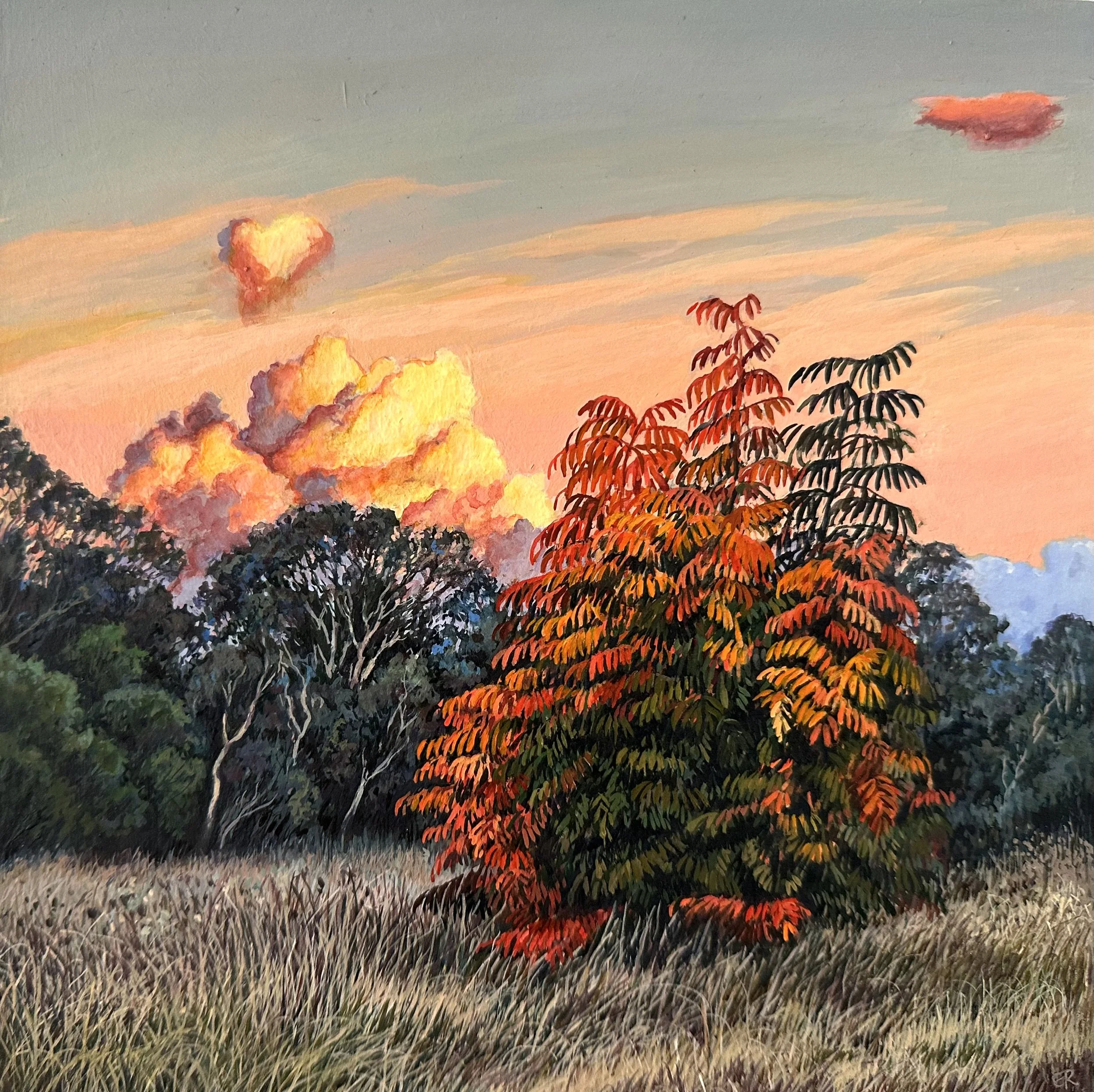 Chinese Pistachio at Sunset_20x20.jpeg