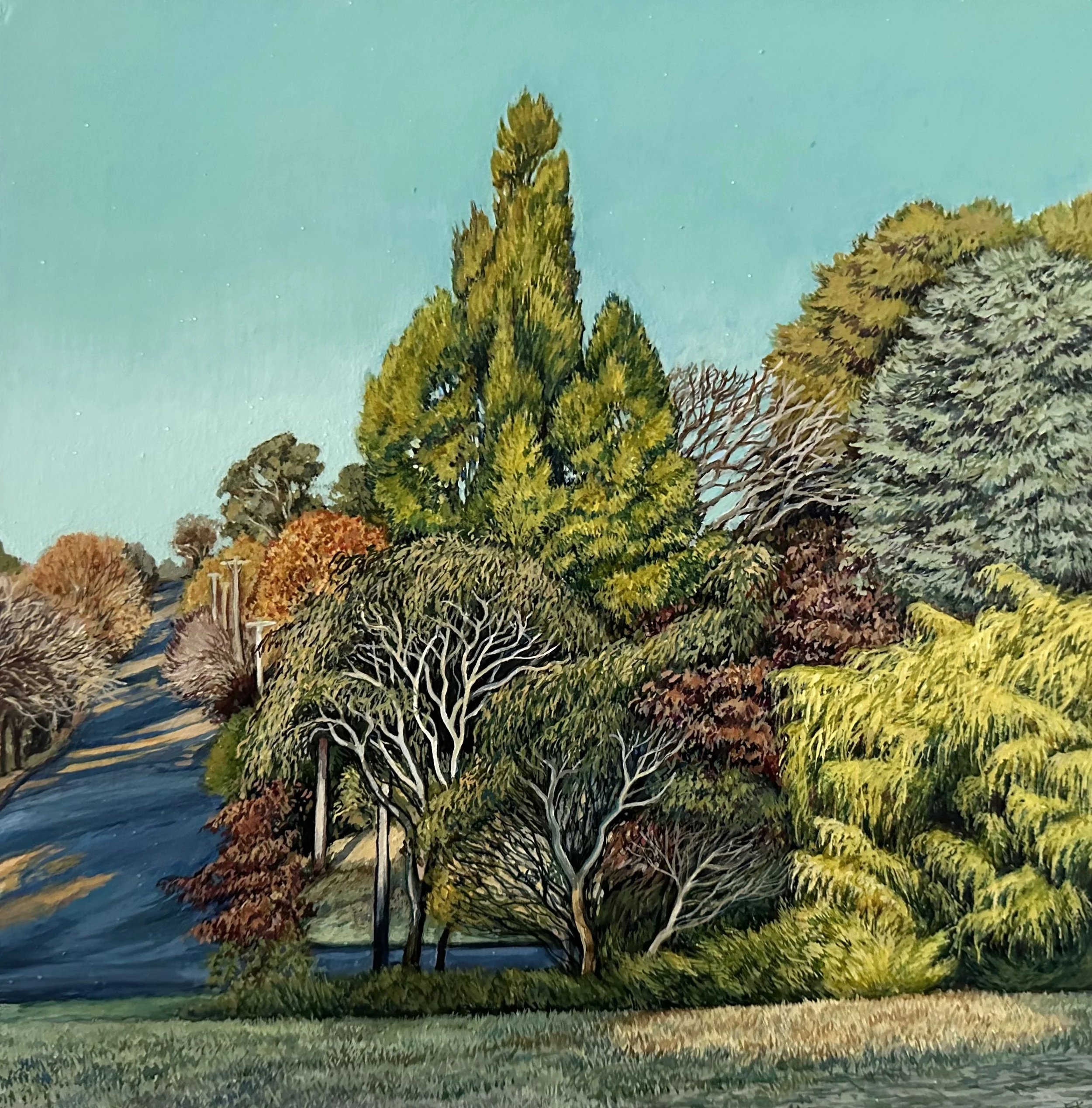 Lengthening shadows_25.5x25.5.jpeg