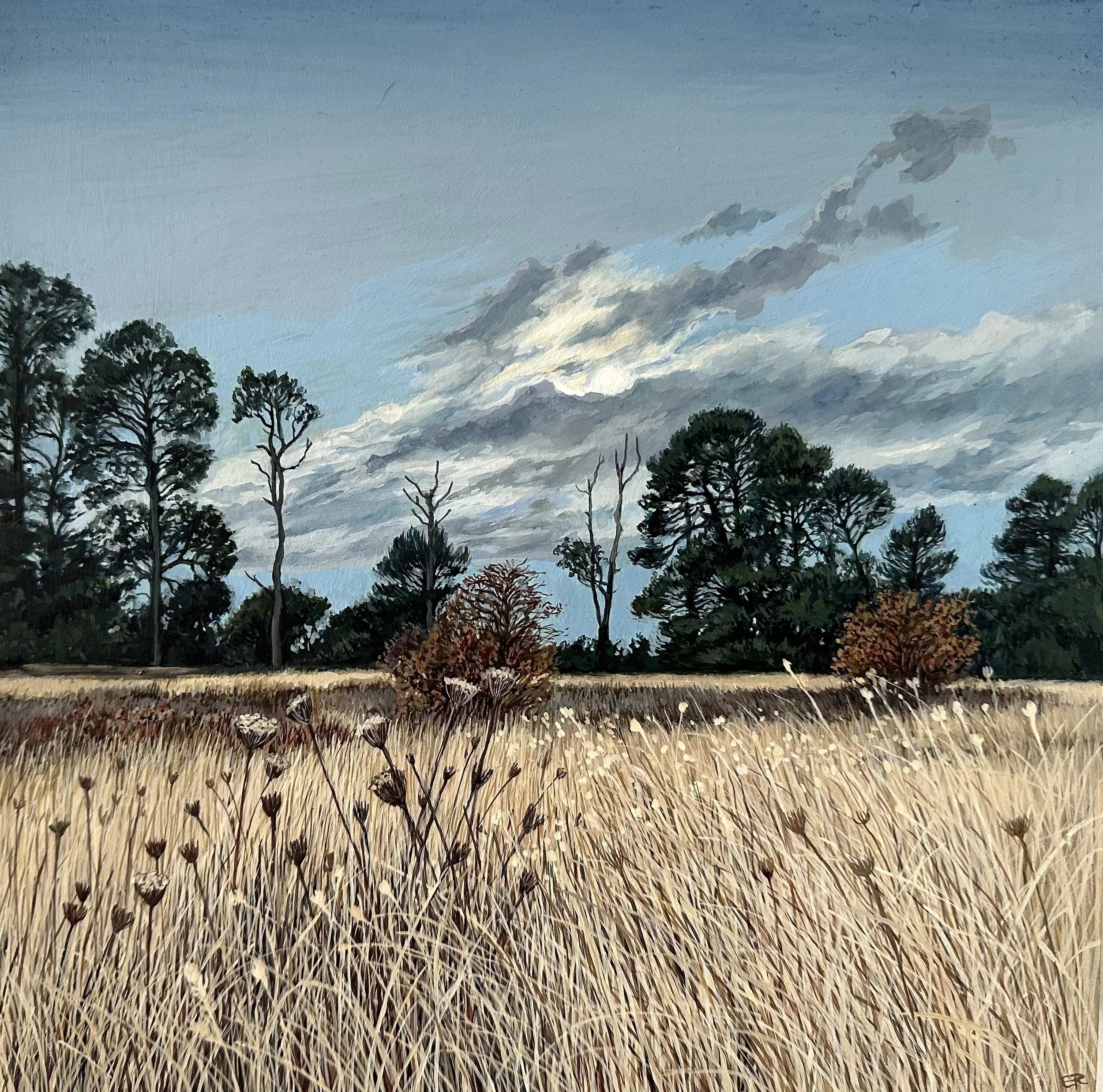 Pines Under the Moon