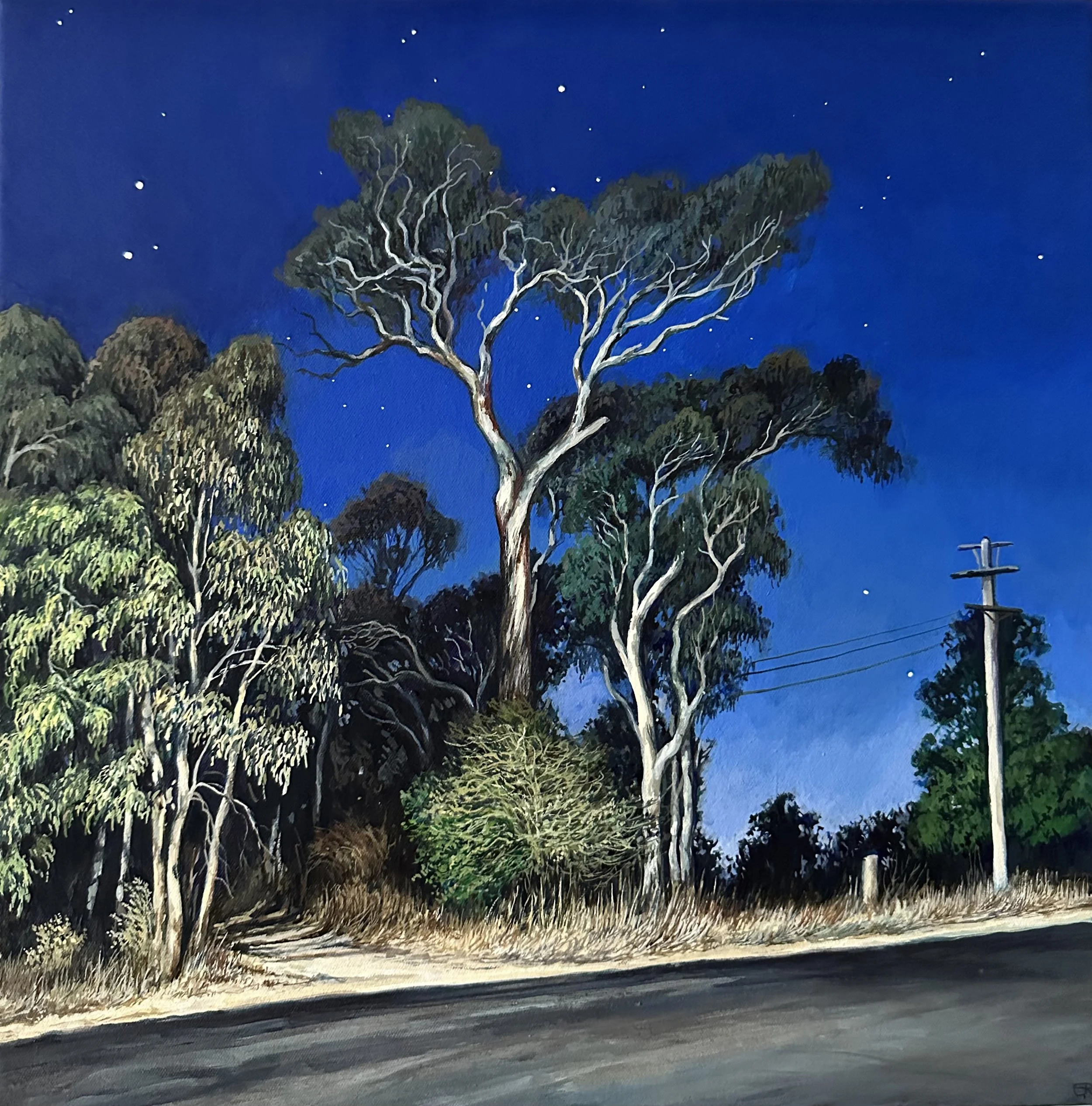 Nightfall, Bona Vista Road