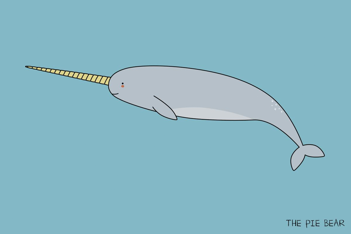 narwhal-mation.gif