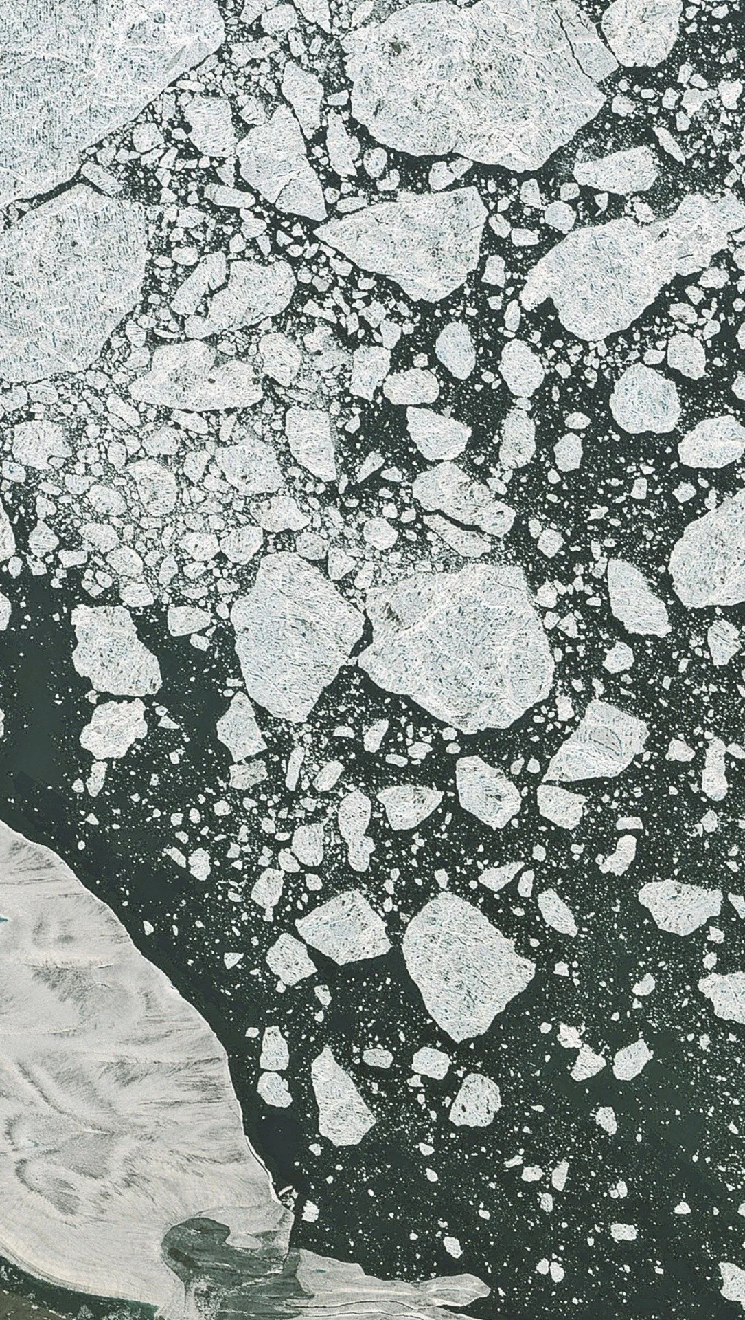 Close-up of a textured, black and white abstract pattern resembling cracked stone or ceramic surface.