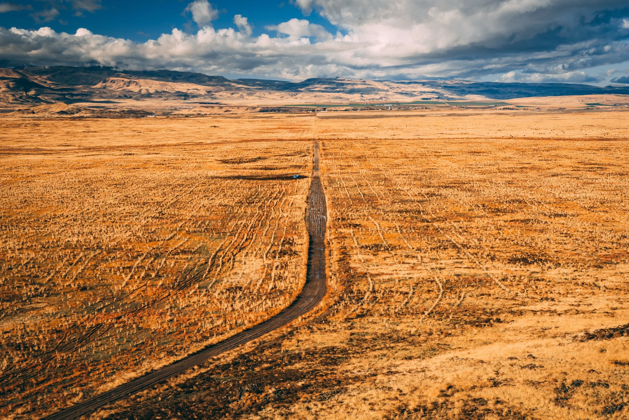 A vast dry farmland with a dirt road running through the middle, extending into the horizon, surrounded by golden crops under a partly cloudy sky with mountains in the distance.