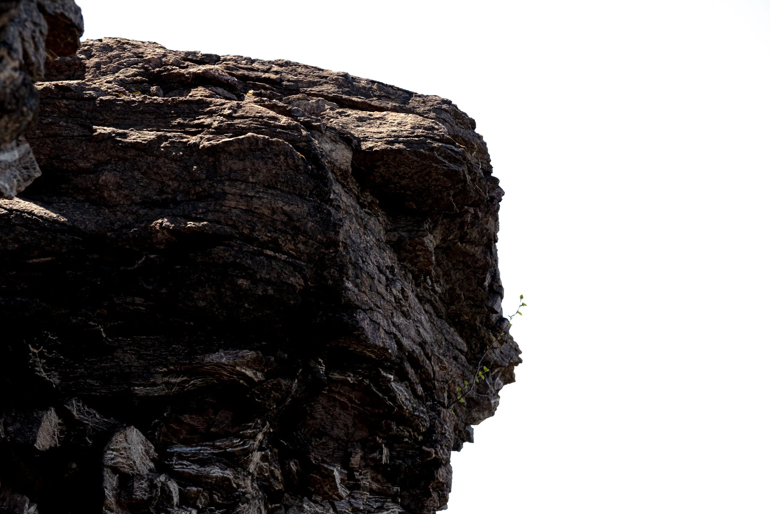 Close-up of a rugged rock formation with a few green plants growing at the edge, against a bright sky.