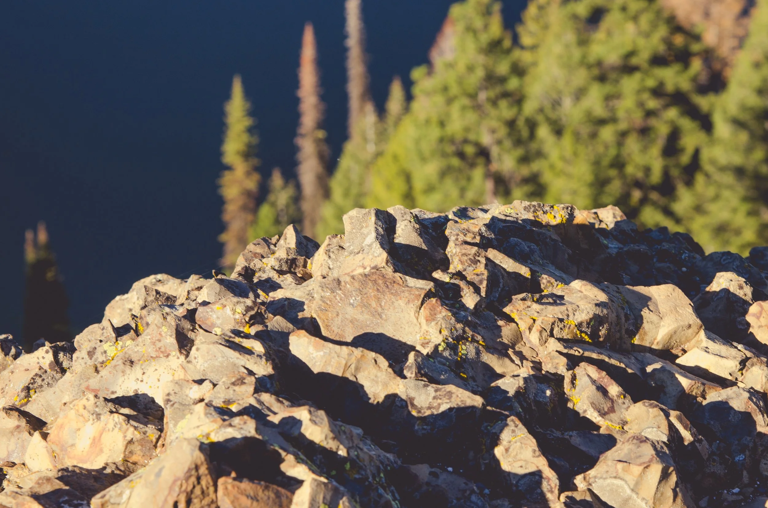 Close-up of rocks with blue sky and green trees in the background.