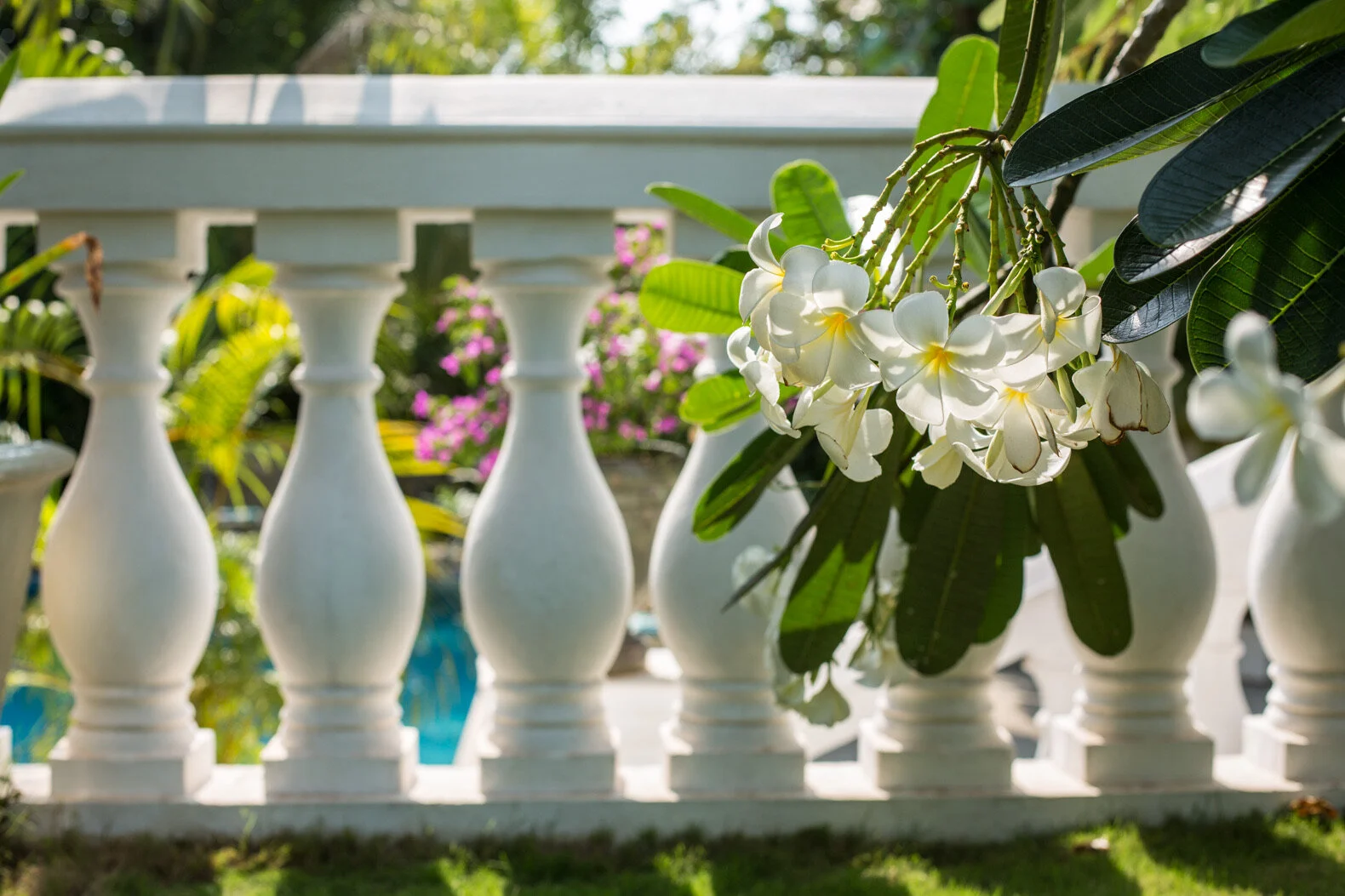 lua-cheia-villa-goa-gardens-1.jpg