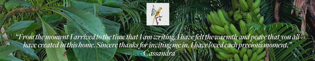 Cassandra.png