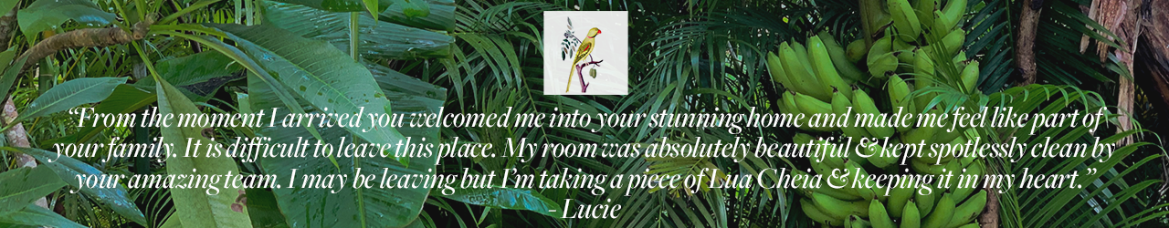 Lucie.png