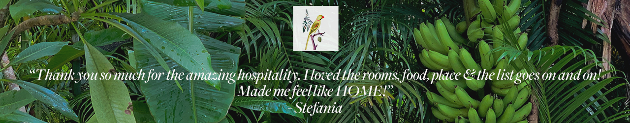 Stefania.png