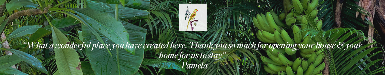 Pamela.png
