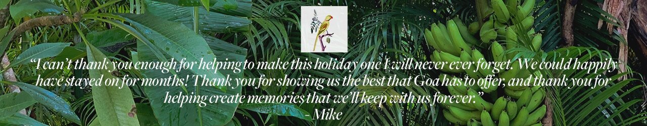 Mike.png