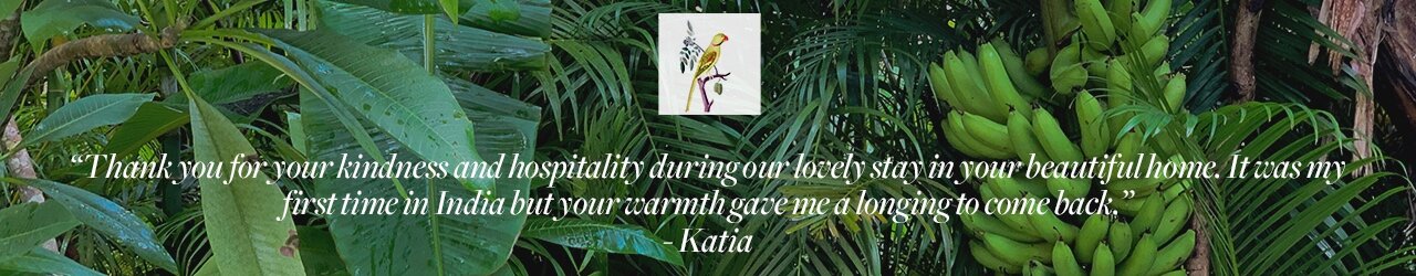 Katia.png