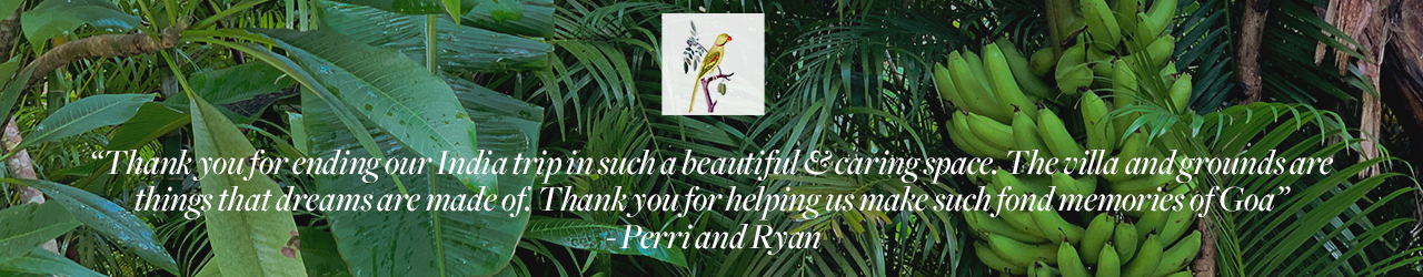 Ryan and Perri.png