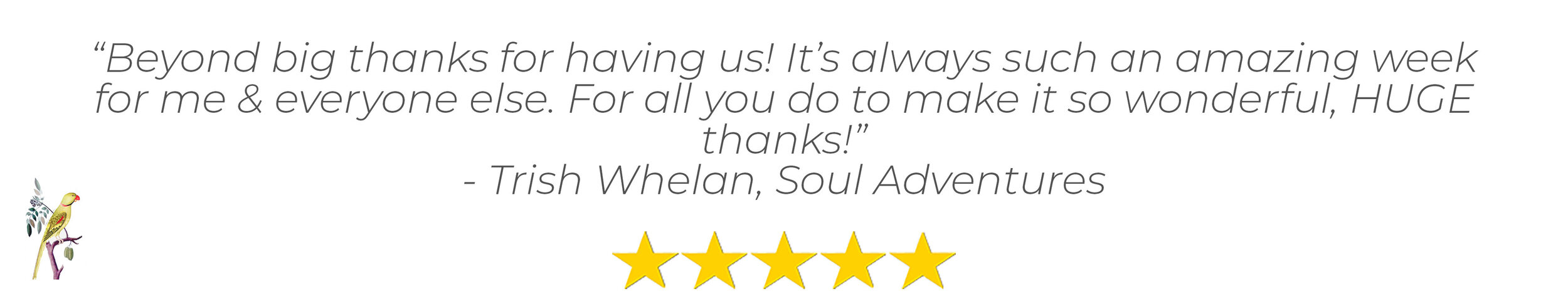 A five star review for Lua Cheia from yoga retreat leader Trish