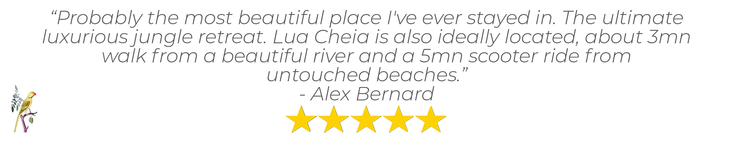 A five star review from Lua Cheia guest Alex