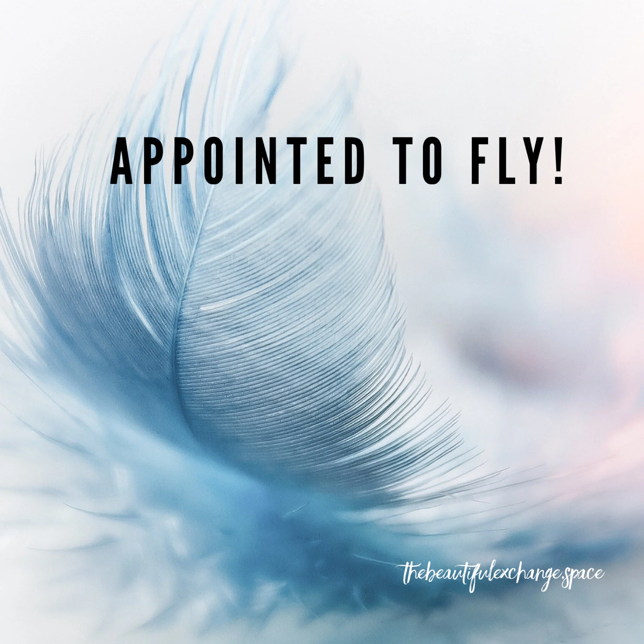 Appointed To Fly