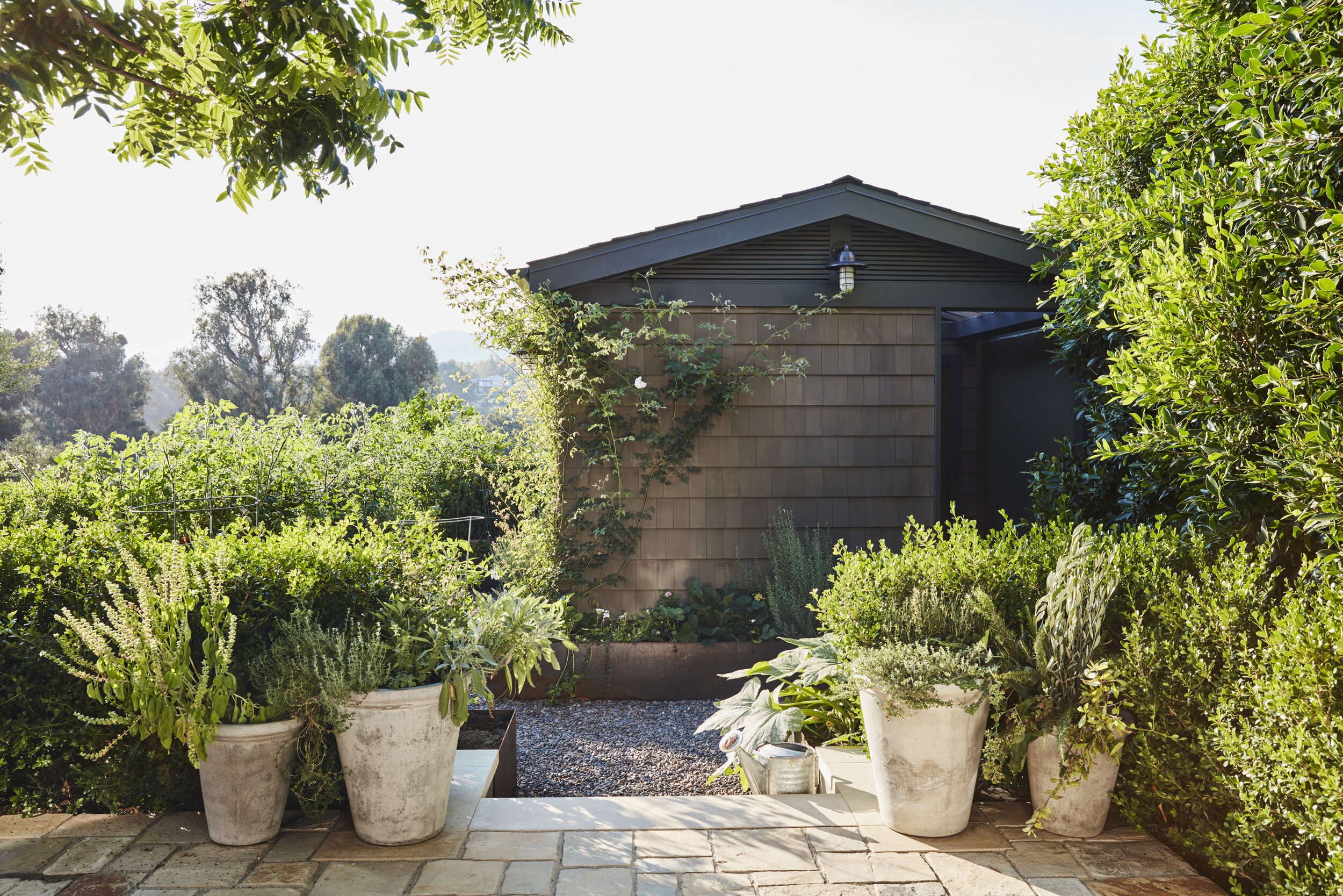 Garden-view-of-a-Modern-Craftsman-in-SantaMonica-Designed-by-Carol-Allen-of-Studio-Allen-Architects.jpg