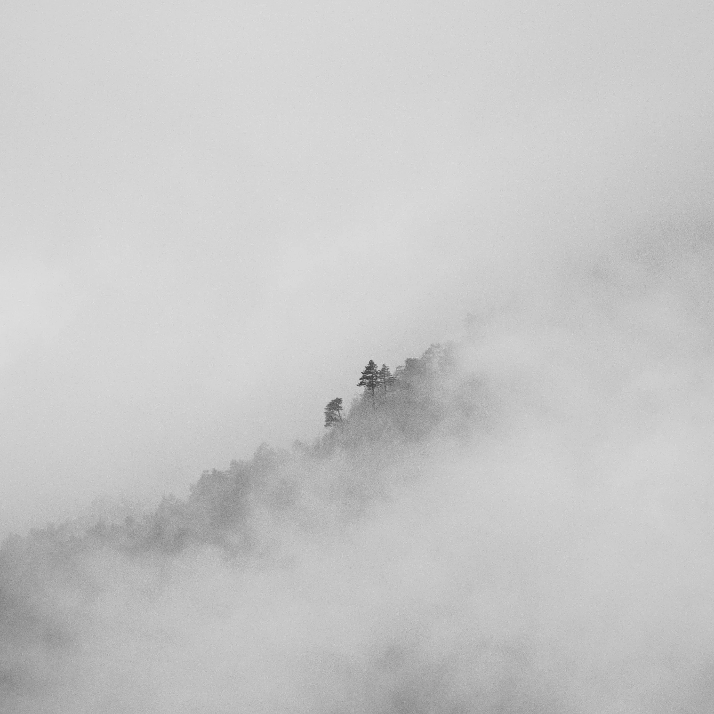 LAIO0741-Bearbeitet.jpg