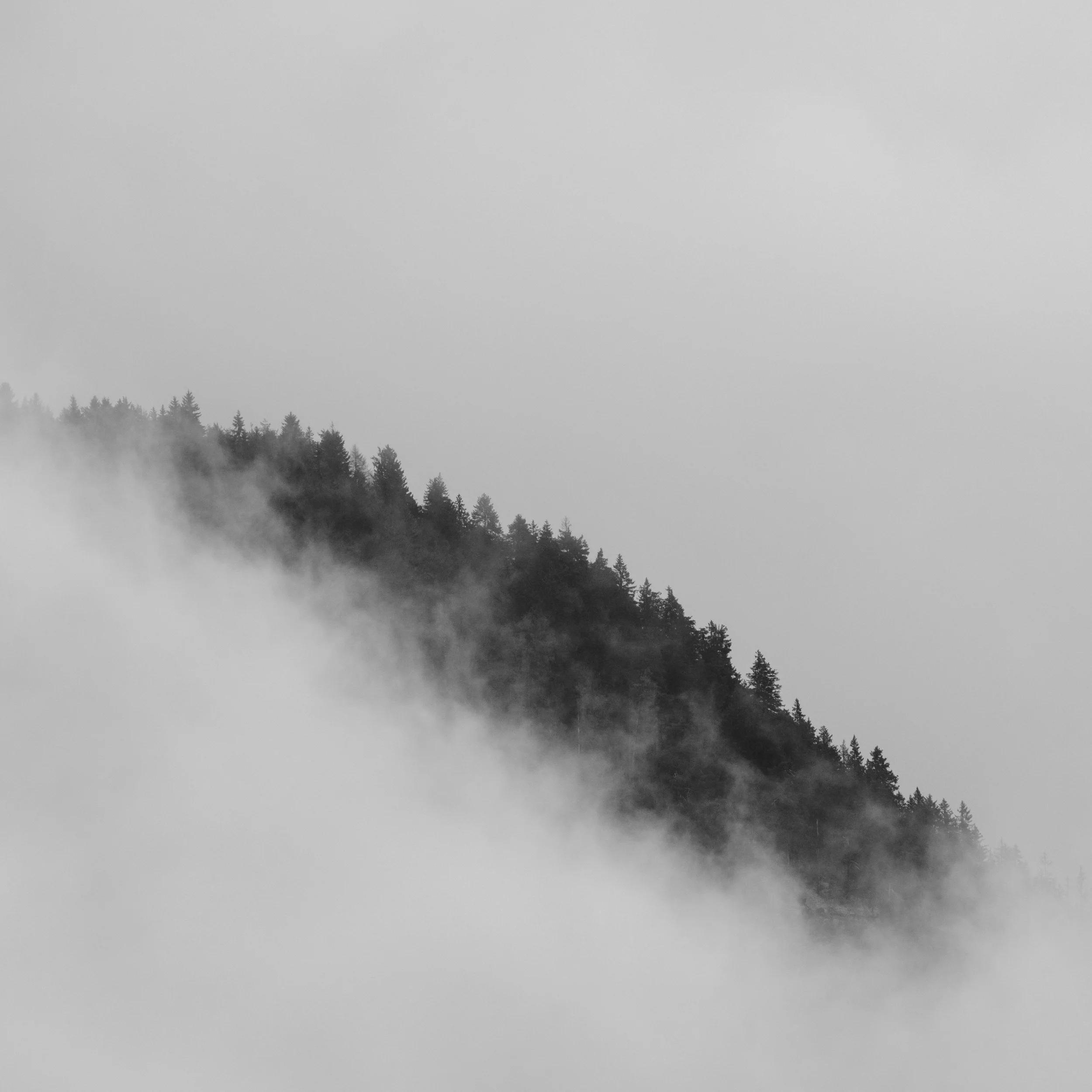 LAIO0730.jpg