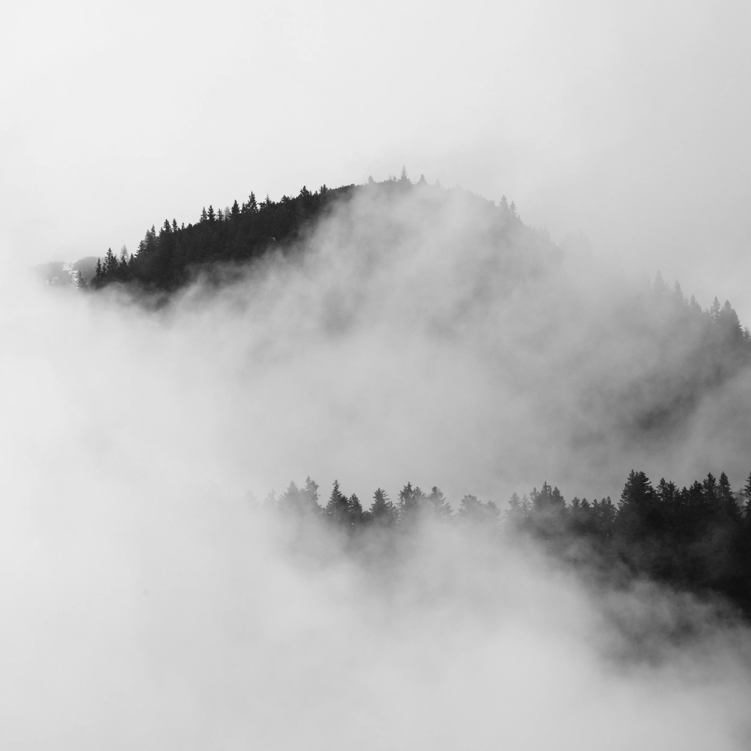 DSCF7291.jpg