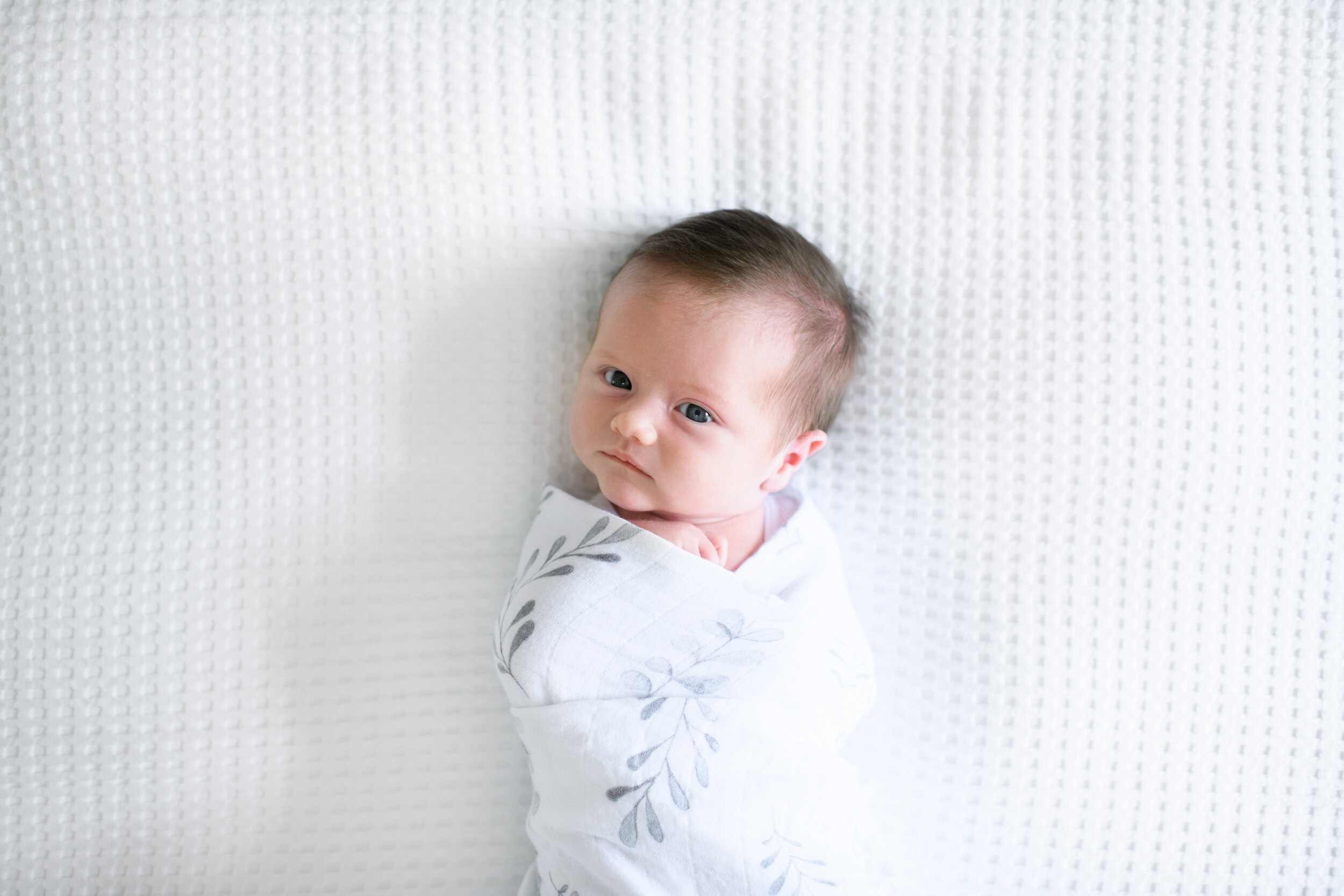 newborn-photography-sydney-4.jpg