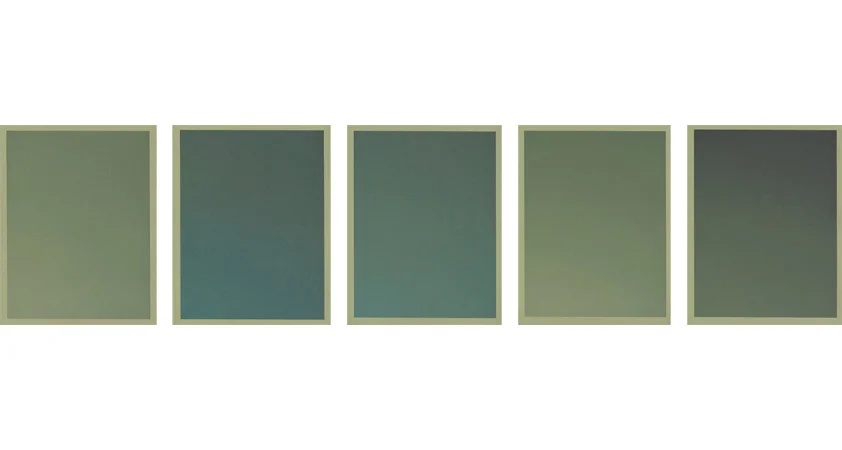 Colour on Colour Green, 2010