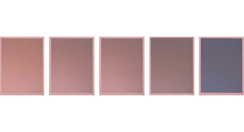 Colour on Colour Pink, 2010