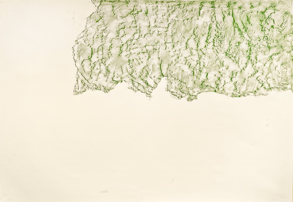 Possible Impressions, 2014 Green conte frottage, 80 x 50 cm