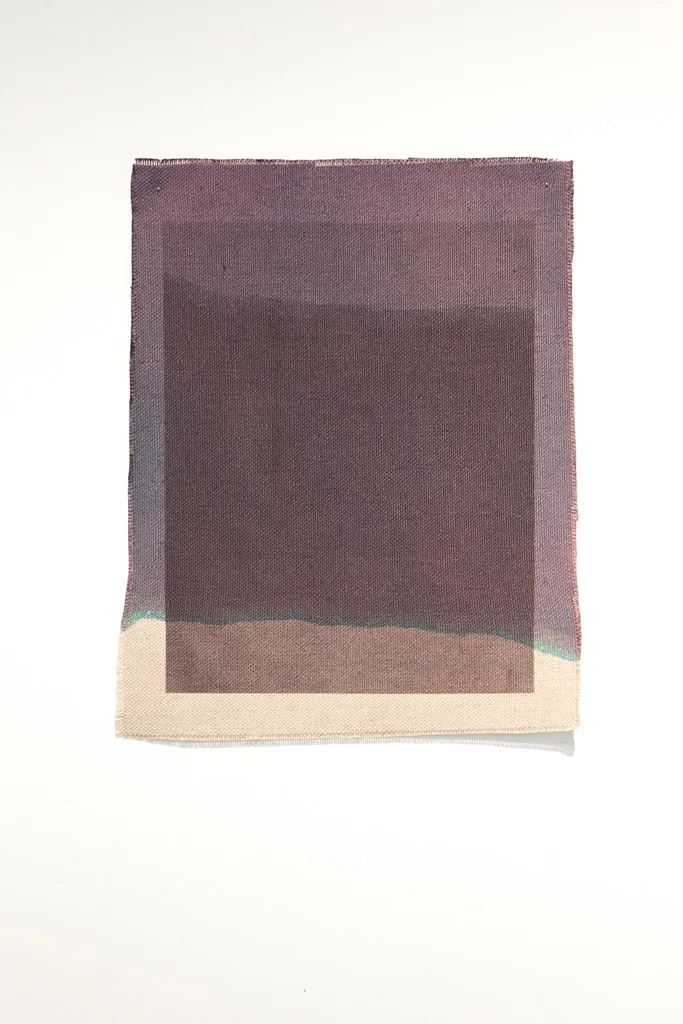 Three Quarter Passes, black, 2012. Inkjet ink used as dye, inkjet print on canvas, 21 x 25 cm