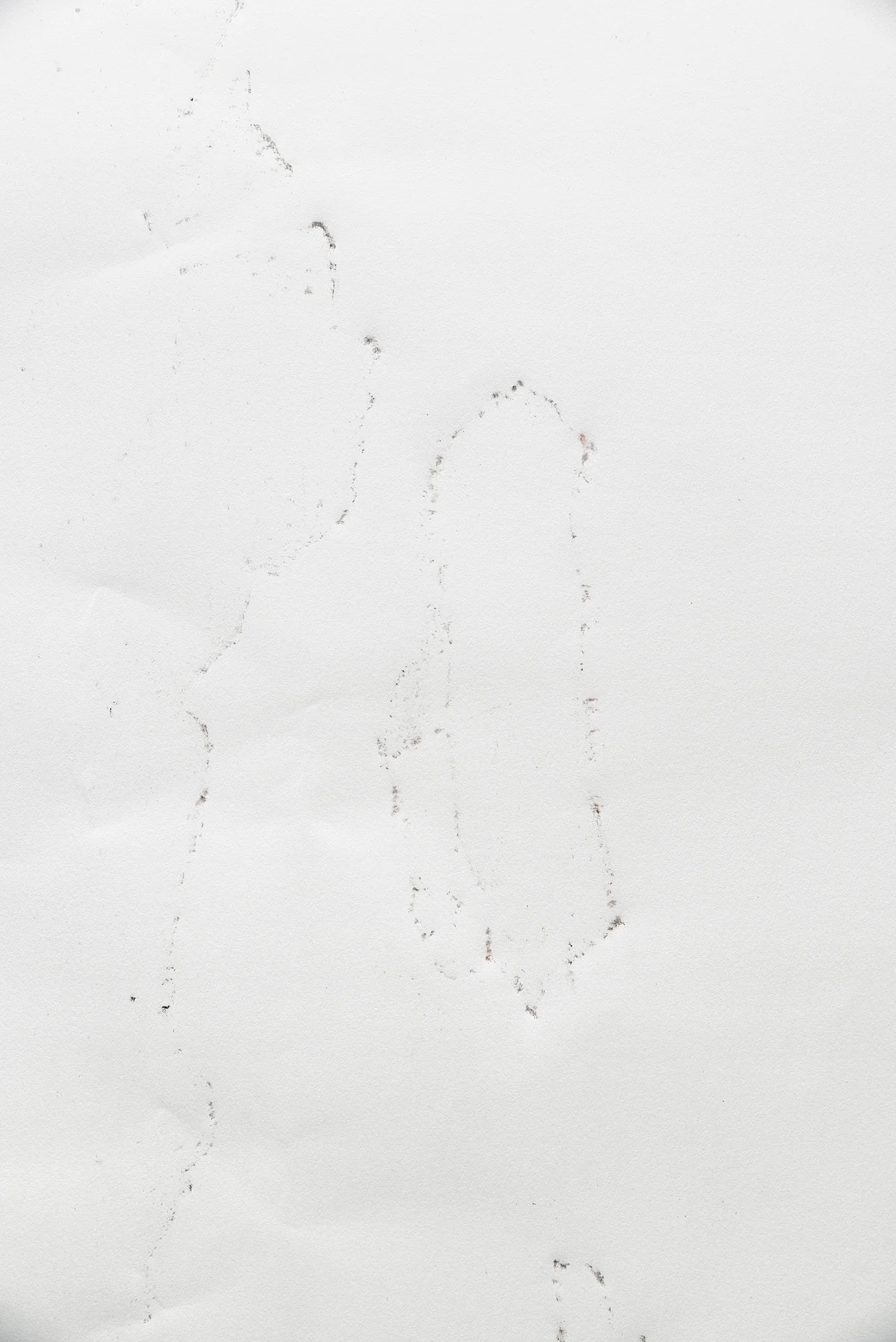 Possible Impressions, 2014 Embossing and dirt, 50 x 80 cm