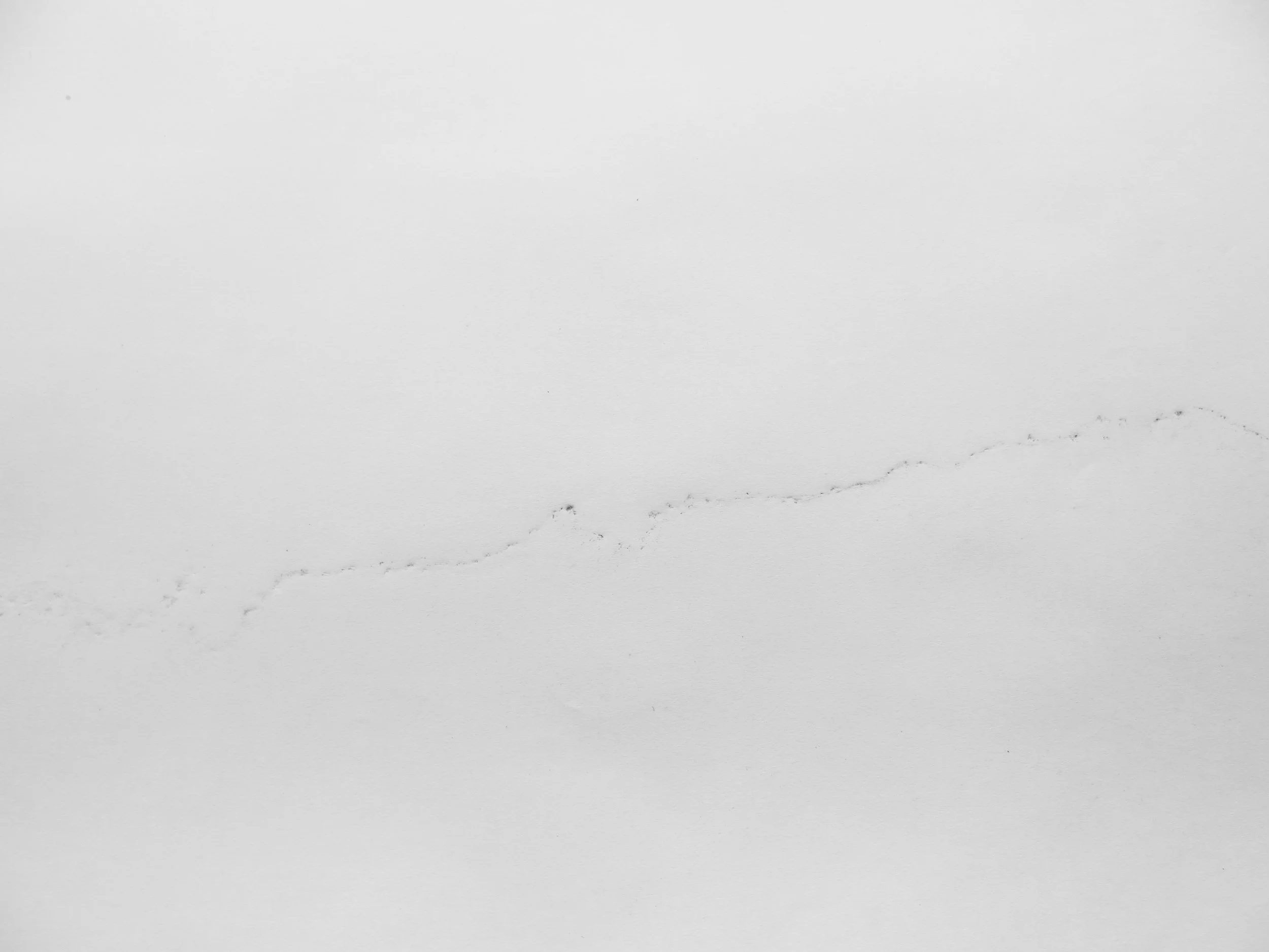 Possible Impressions, 2014 Embossing and dirt, 80 x 50 cm