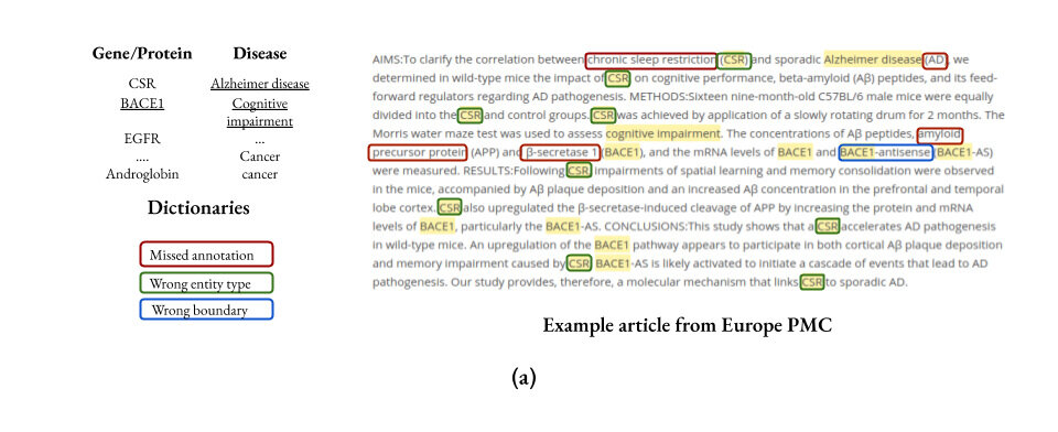 Biomedical named entity normalization via interaction-based