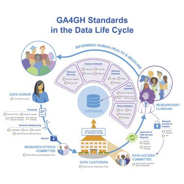 International federation of genomic medicine databases using GA4GH standards