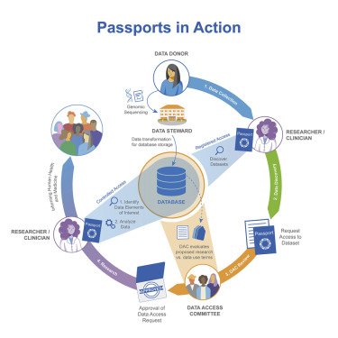 GA4GH Passport standard for digital identity and access permissions