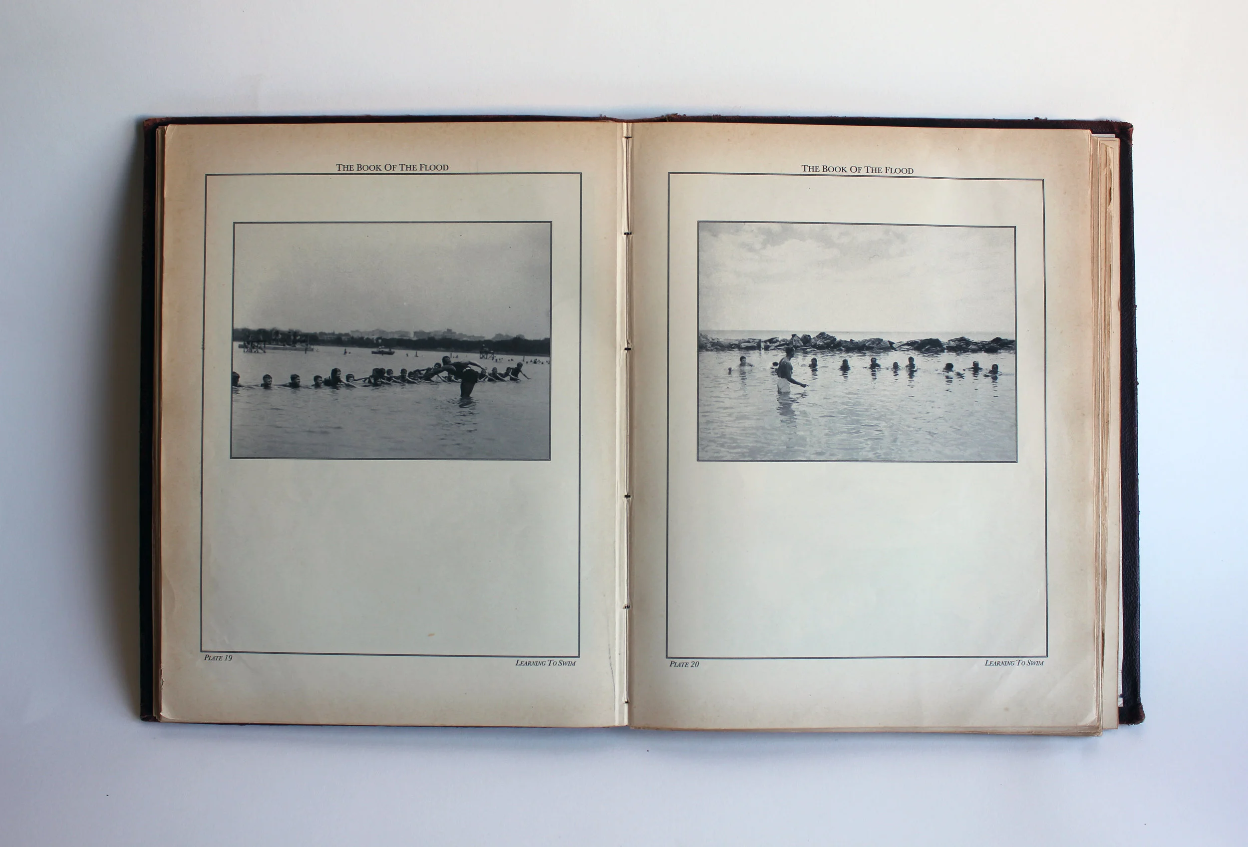 The Book of the Flood, 21 x 12.5 x 1 inches, 2012.