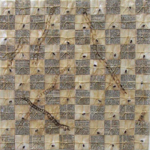 Snakes and Ladders, snake skin, apple seeds, Bible pages, paper, thread, beeswax, on board, 18 x 18 inches, 2004.