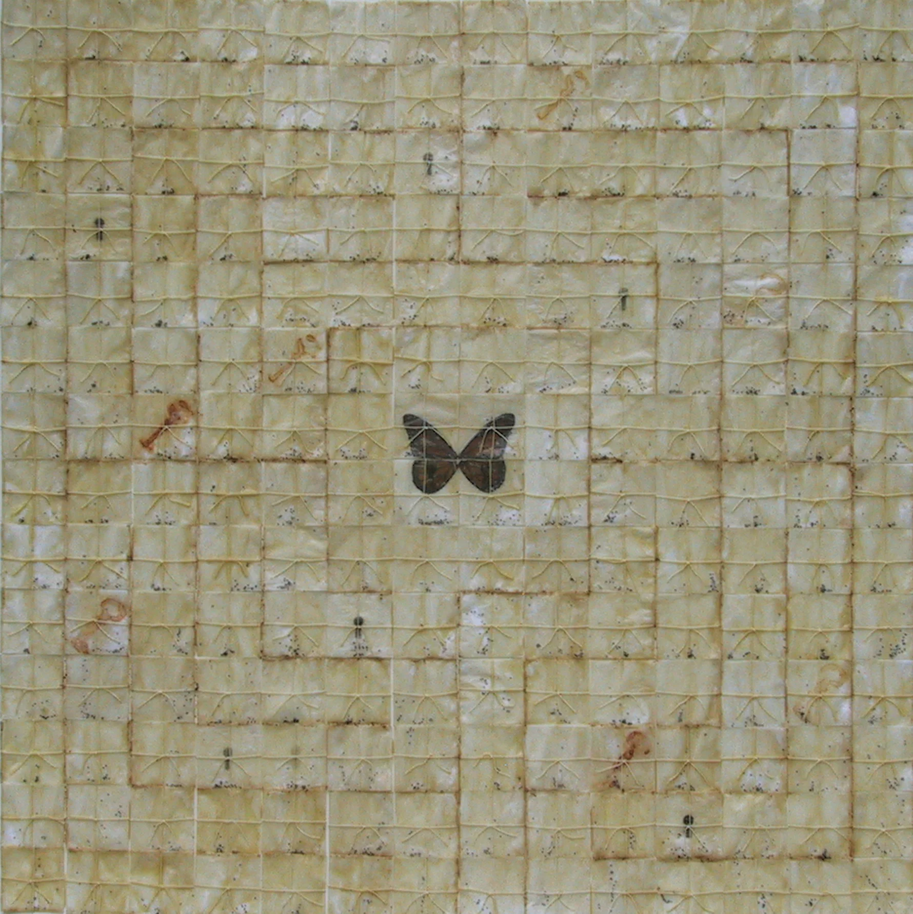 Labyrinth, butterfly wings, paper, smoke, rust, poppy seeds, rotted wood, thread, beeswax, on board, 30 x 30 inches, 2004.