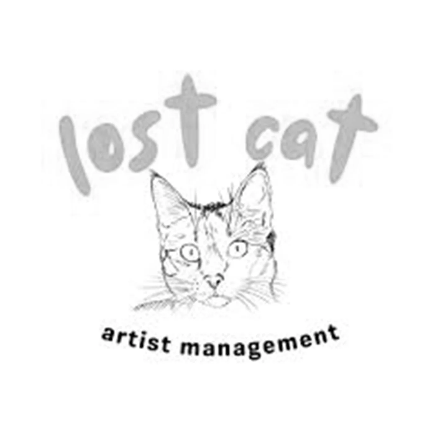 LOST CAT.jpg