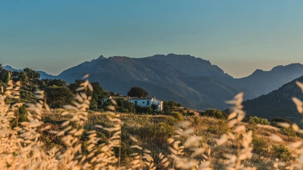 wellness-buzz-hives-and-healing-in-the-andalusian-hills_653257b845e98.jpeg