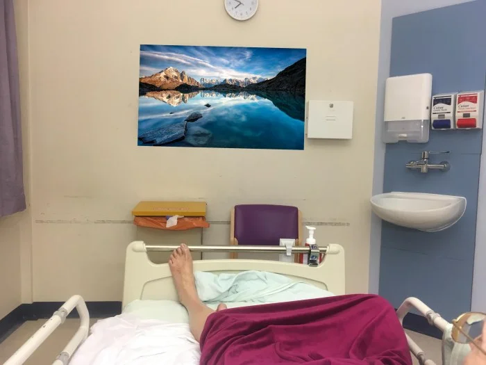 hospital-nature-patient-healing-wallart.jpg