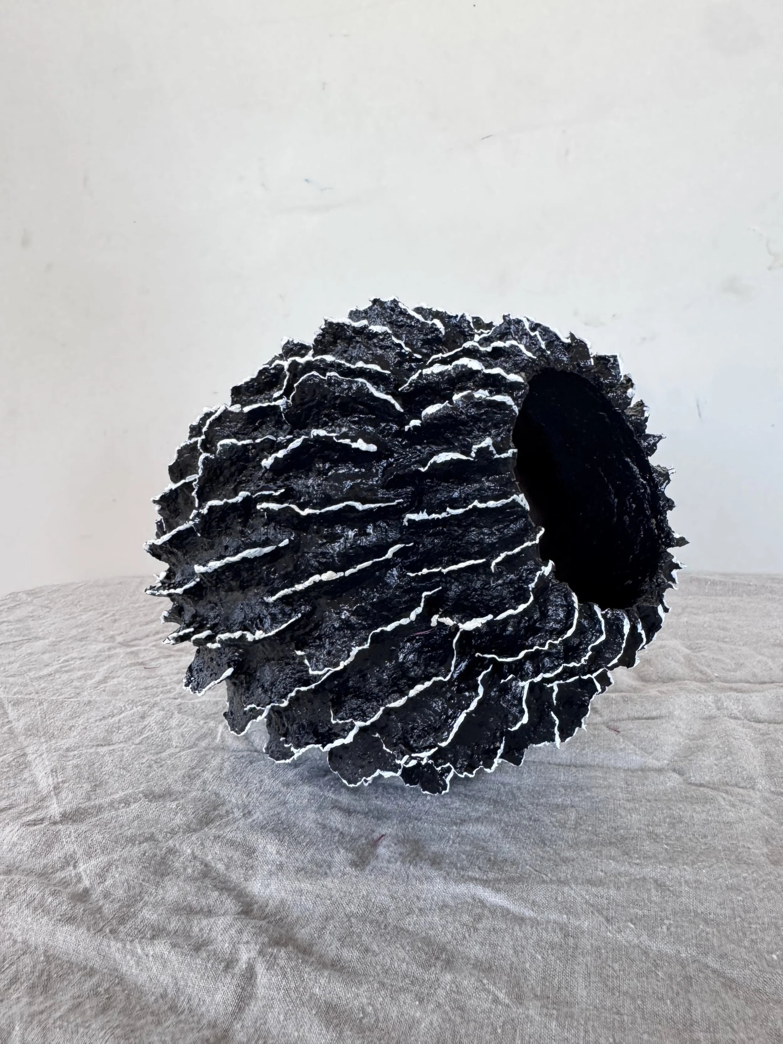 Banksia 1, 2026