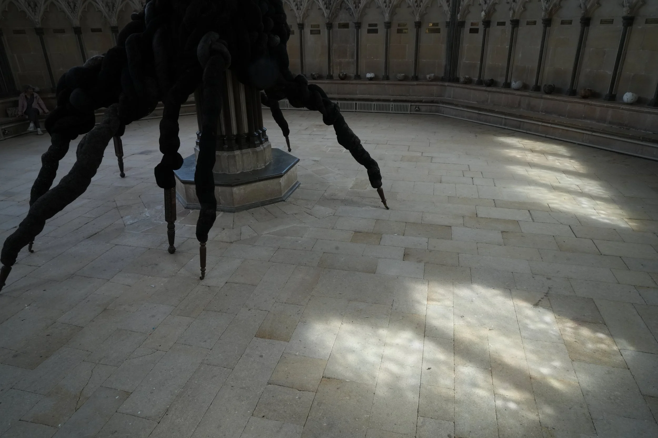 DSC01409.jpeg