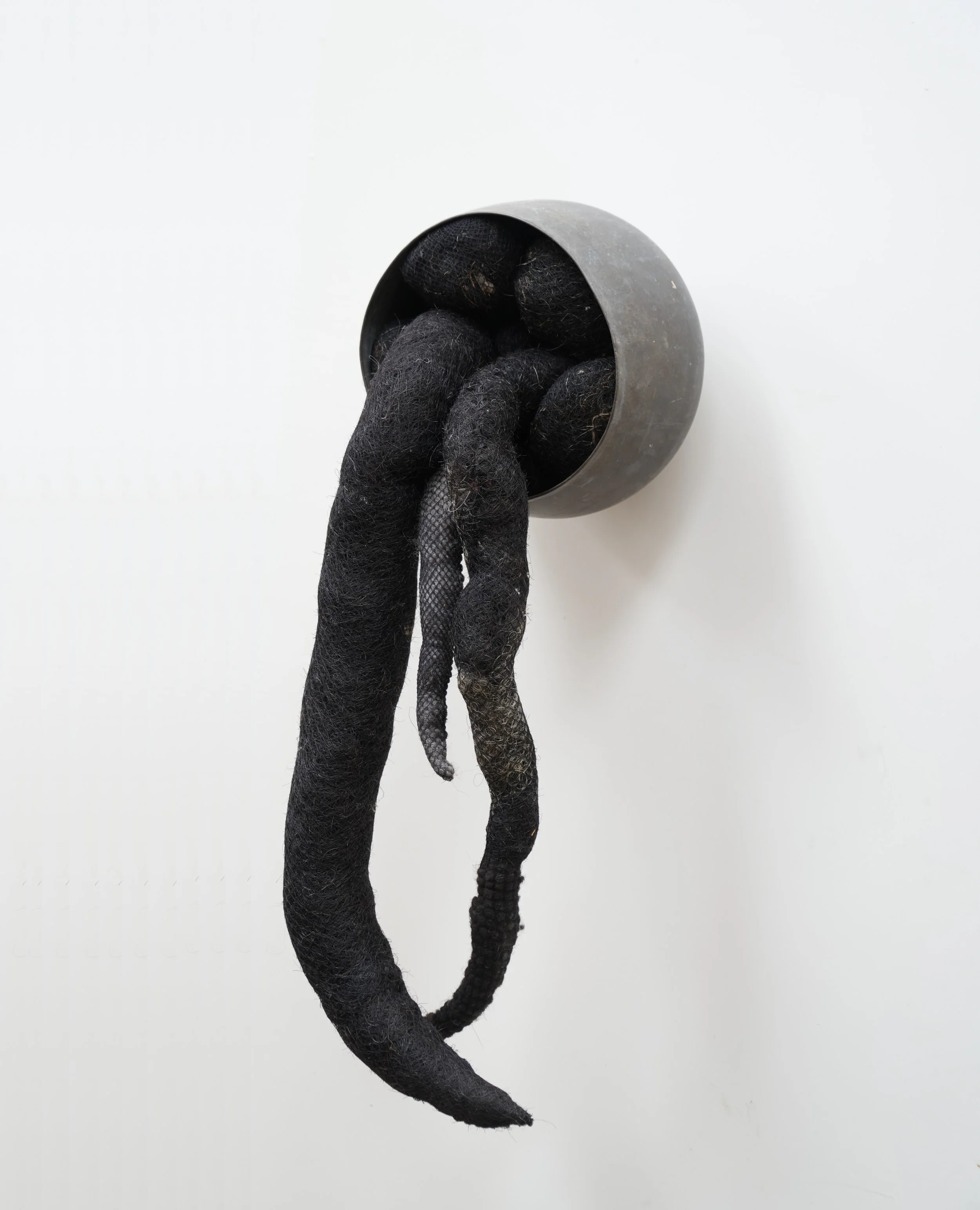 THE DREAM OF THE FISHERMAN'S WIFE.jpeg